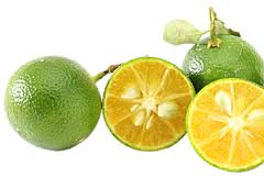 Calamansi