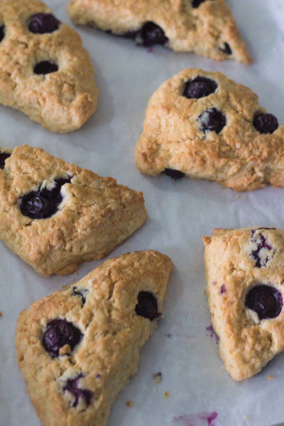 Blueberry Scones with Vanilla Glaze