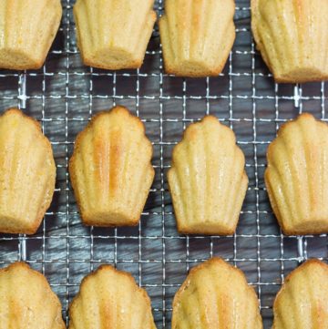 Classic Madeleine Recipe
